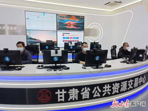 交易不断档，服务不停歇——甘肃省公共资源交易中心全力保障项目交易与技术服务